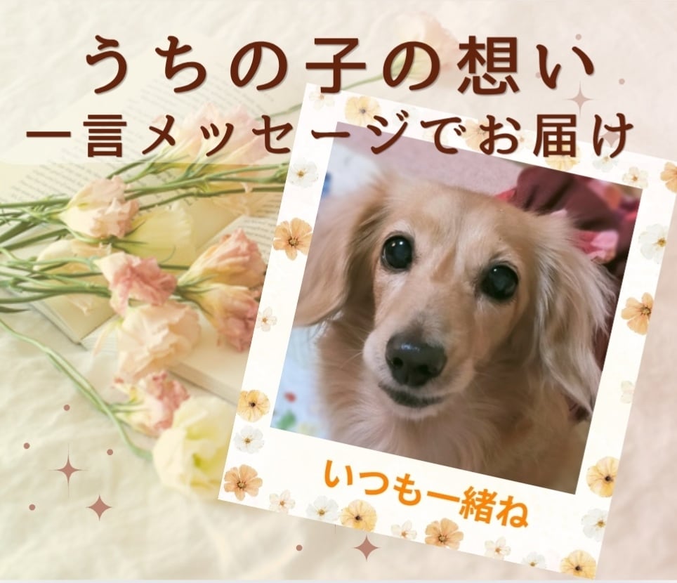 ペットちゃんからの一言メッセージをお届けします あなたとペットちゃんをつなぐ、一言メッセージ入り画像です。 イメージ1