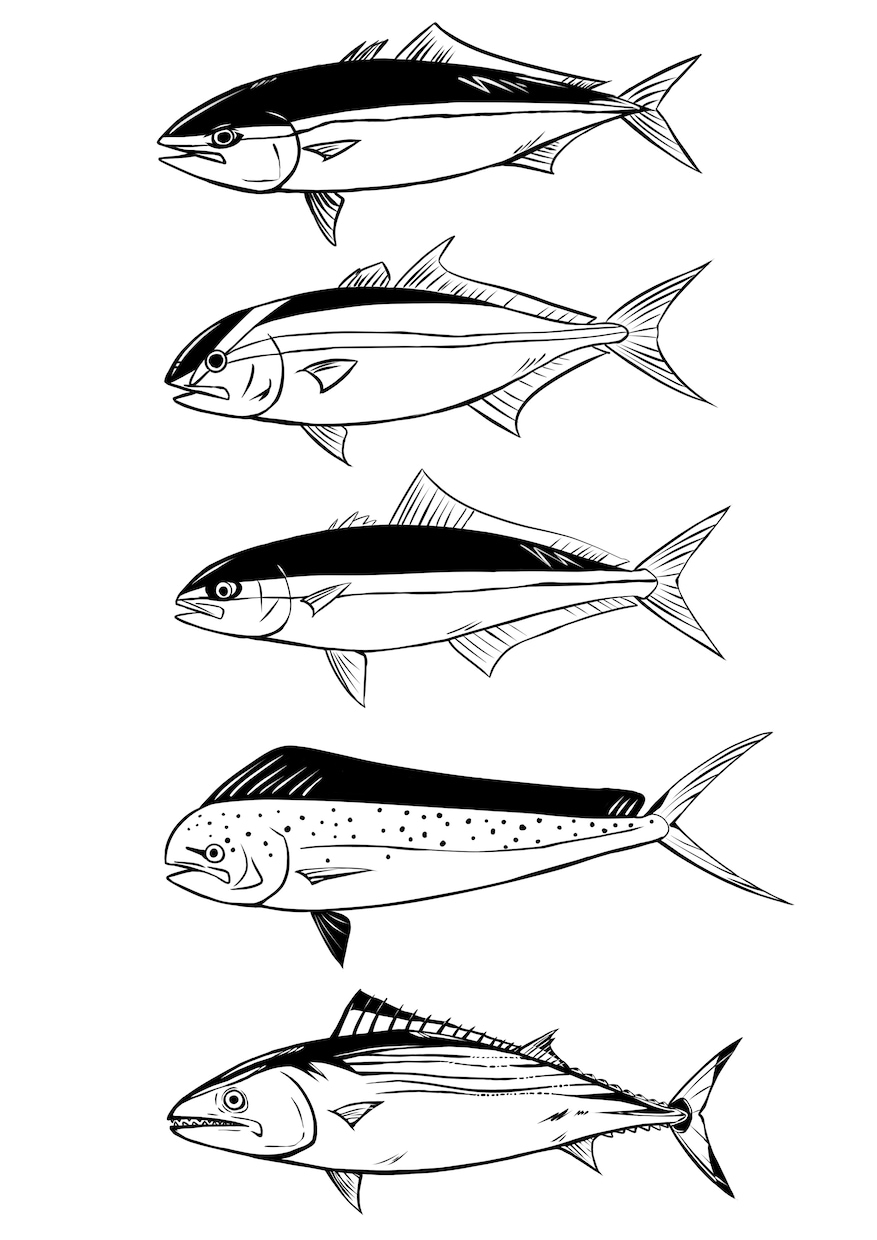 魚のイラストを描きます 1匹〜　リアルとデフォルメの中間くらいの魚の絵を描きます イメージ2