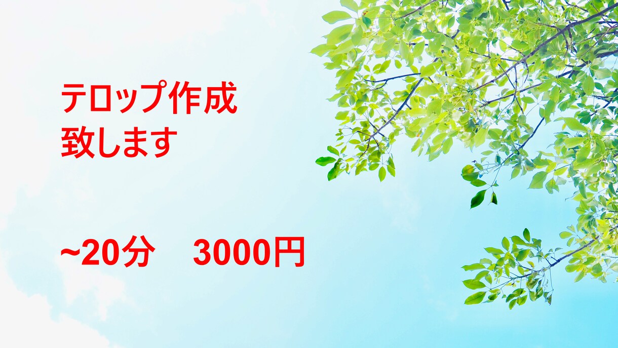 テロップ作成します 素早い対応で丁寧なサービスをお届けします イメージ1
