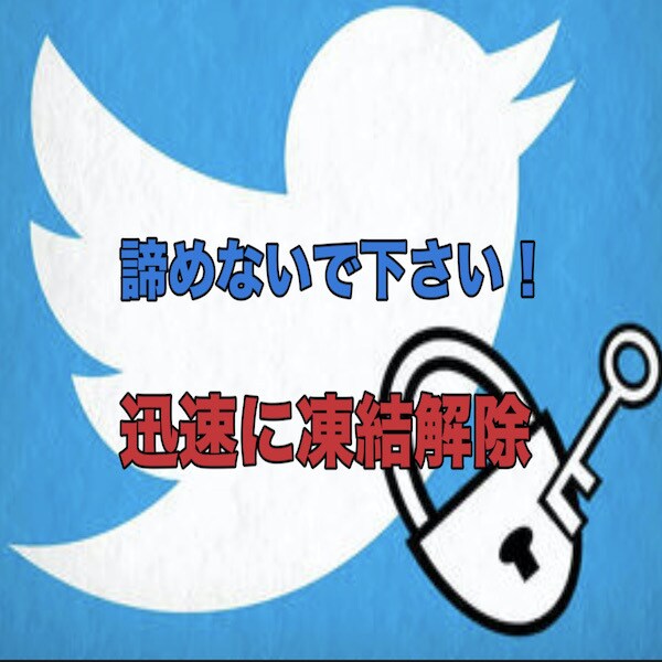 Twitter凍結解除サポートします 成功報酬！迅速対応！大切なアカウントを復活させます イメージ1