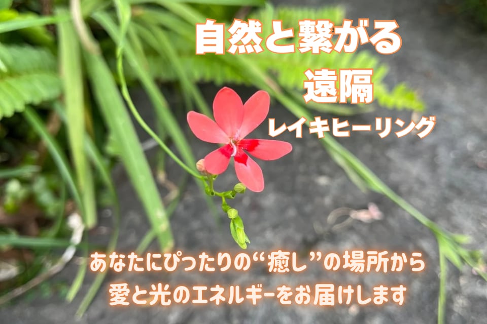 心がふわっと軽くなる遠隔ヒーリングお届けいたします 心と体をやさしく整える「自然と繋がる遠隔ヒーリング」 イメージ1