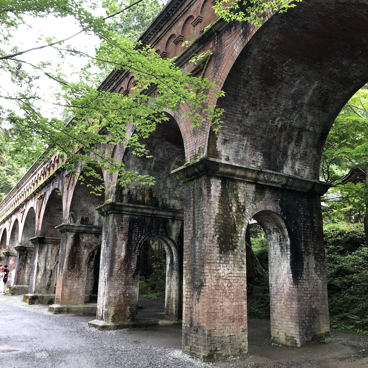 あなたの京都旅行計画のご相談に乗ります ＊京都で、あなたが1番楽しめる旅のプランを一緒に考えましょう イメージ1