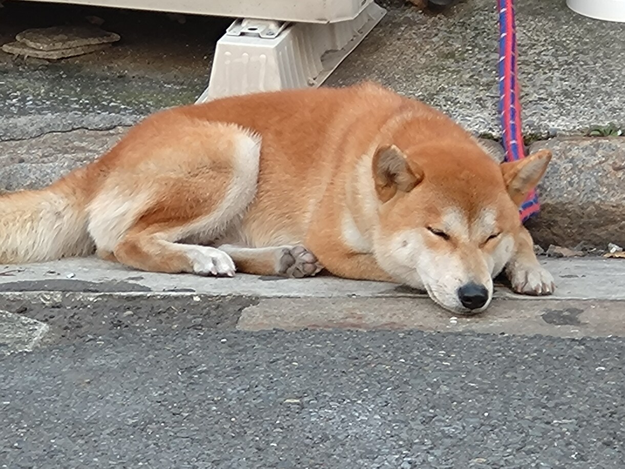 現役JKが愚痴とか色々聞きます 誰かに聞いてほしい！とか褒めてほしい！とかを叶えます！ イメージ1