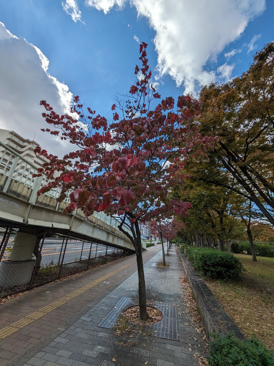 あなたのお話どんな事でもお聞きします 経験豊富な私とお話して楽しく行きましょう〜♪ イメージ6