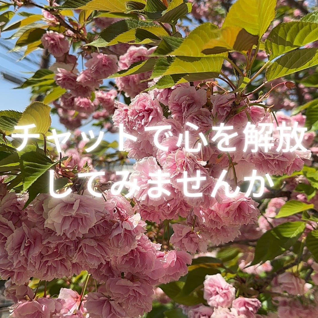 24時間(夜間除く)お友達みたいにチャットします 電話じゃなくてチャットでじっくりお話したい方向けサービスです イメージ3