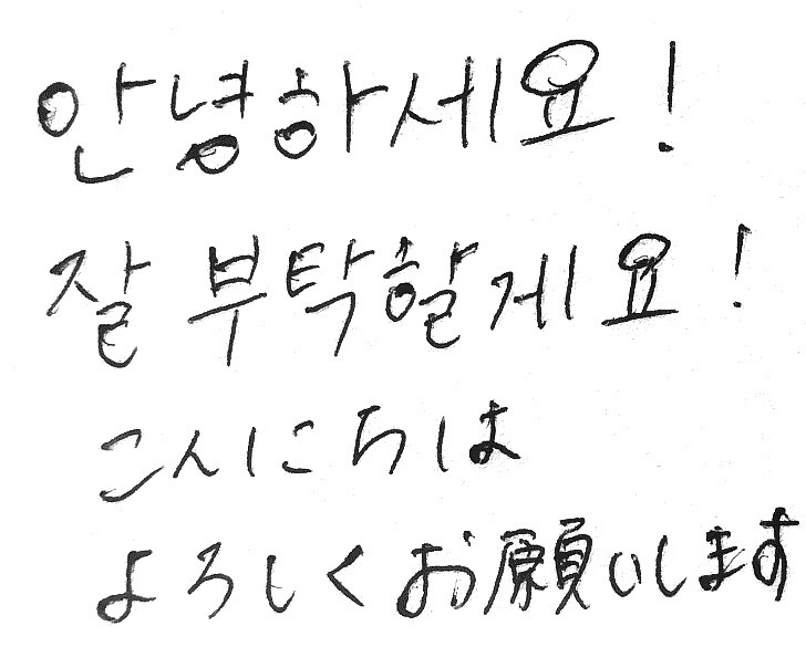わからない韓国語翻訳します 韓国語翻訳から発音まで！一緒に韓国語ペラペラ目指しませんか？ イメージ1