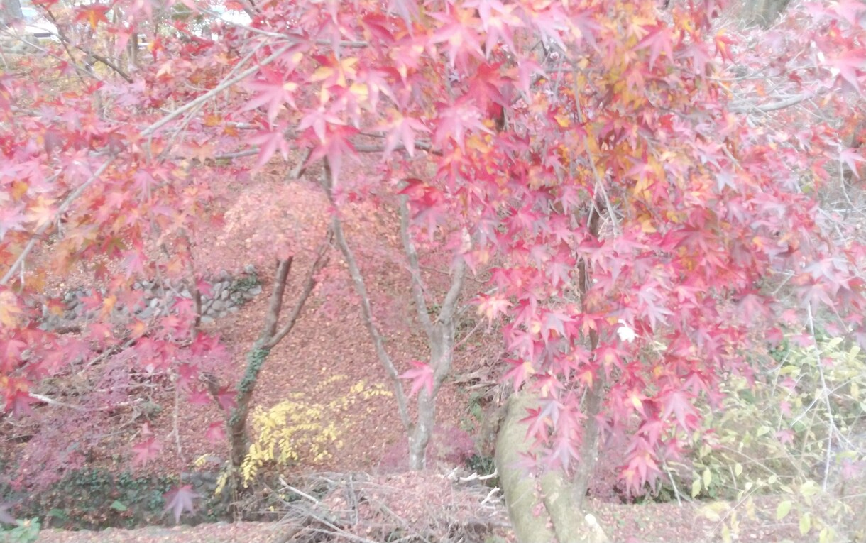 本格的霊感、霊視！出会い、運命の人占います 頑張っているけど、なかなか上手くいかない。背中を押します！ イメージ1