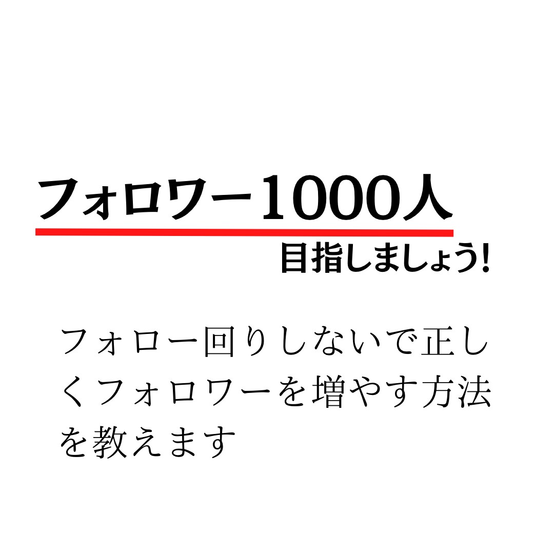 ビデオチャットでアカウント設計、分析をいたします まずはフォロワー1000人を目指すためのノウハウを教えます イメージ3
