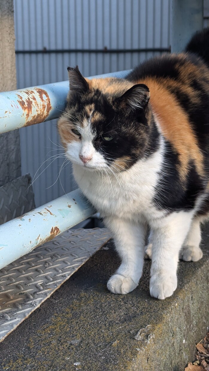 あなたの希望に沿った日本語の歌詞を制作します 切ないけれど明るい歌詞が得意です！！ イメージ1