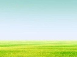 あなたへのメッセージをお伝えいたします 今のあなたの迷いなど紐解いていきます イメージ2