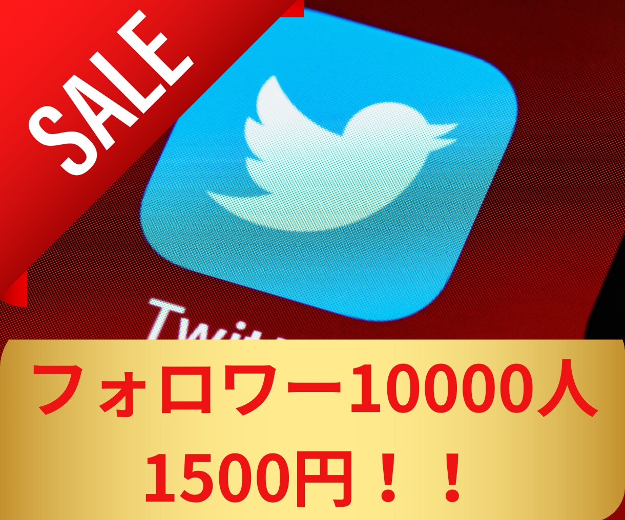 爆安！ツイッターのフォロワー10000人増やします 赤字覚悟の大特価！2月19日までの期間限定です！ イメージ1