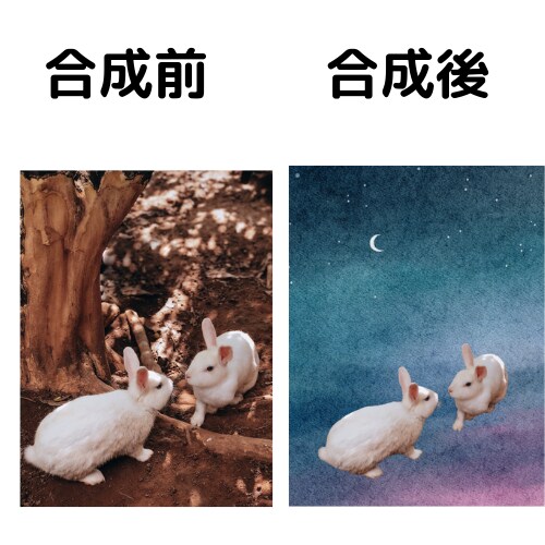 画像の切り抜き・加工・合成します 手早くお手軽にご相談可能です！ イメージ2