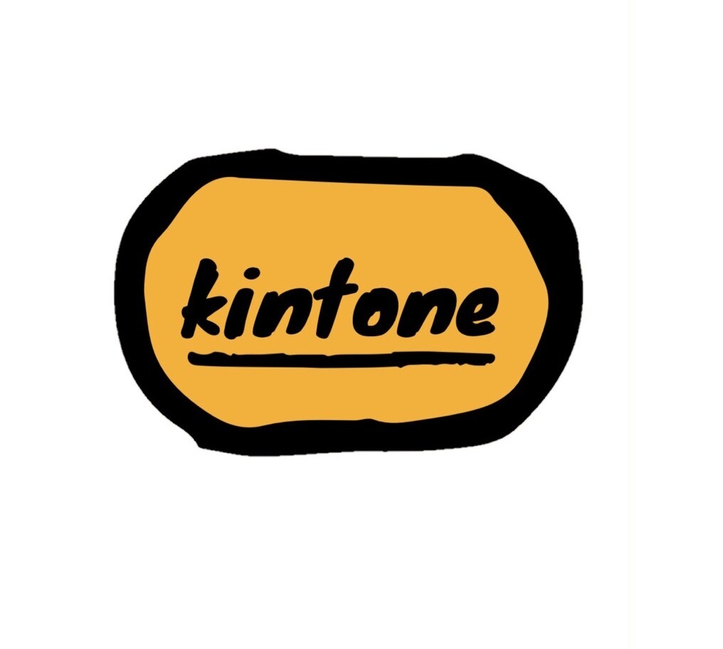 kintoneの導入支援やアプリ修正します 初心者向け30分3000円でご相談ください。 イメージ1
