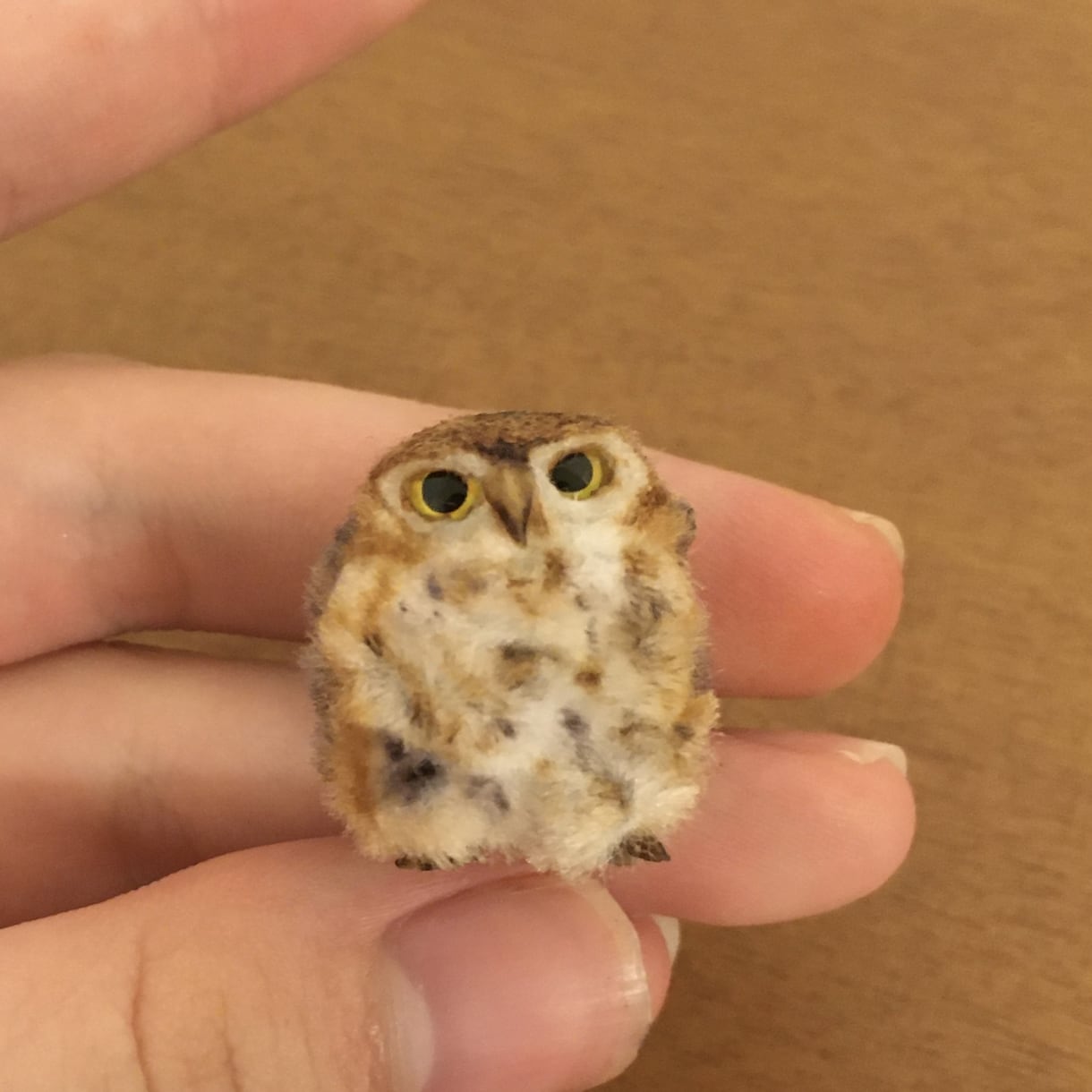 うちの子そっくり！リアルな動物ドール作ります ペットやオリキャラ、ドールハウスに！犬猫から小動物まで何でも イメージ4