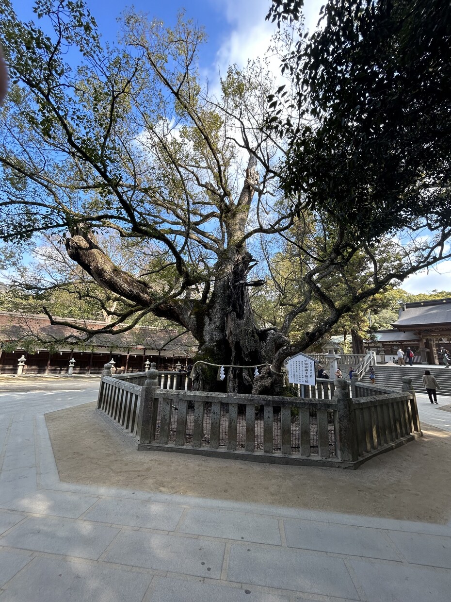 龍神のエネルギーであなたの恋愛を導きます 片思い・結婚・複雑恋愛について【龍神の言葉】から鑑定します。 イメージ6
