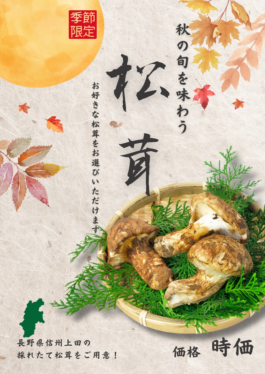チラシ作成のプロが、最高のチラシ作ります 平日であれば納期最短2日！修正回数無制限オプション完備！ イメージ1