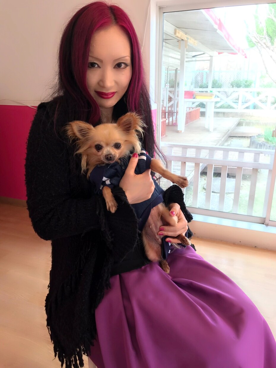アニマルコミュニケーションで動物さんとお話します ペットさんと気持ちを通わせて、より絆を深めましょう。 イメージ2