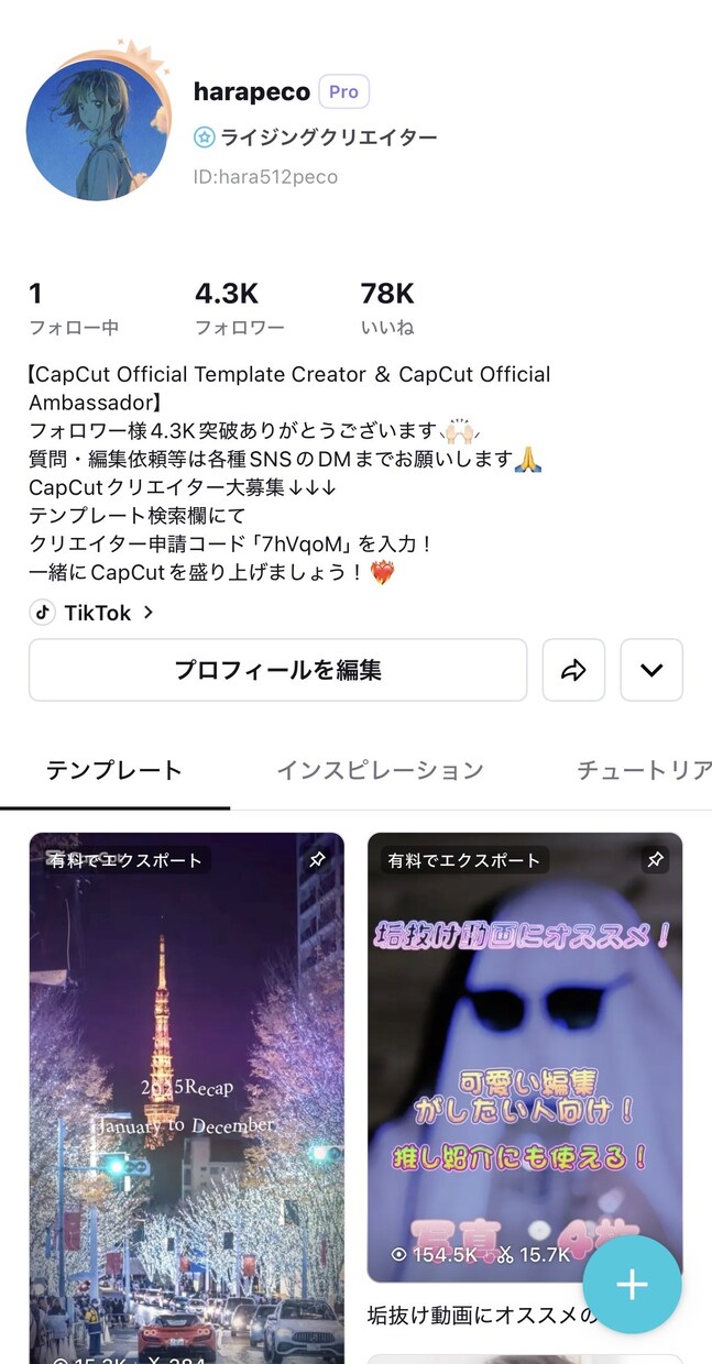 動画制作+視聴率増加、分析、自走への知識共有します 1本の動画制作と伸ばすための秘訣、培ってきた知識を共有します イメージ2