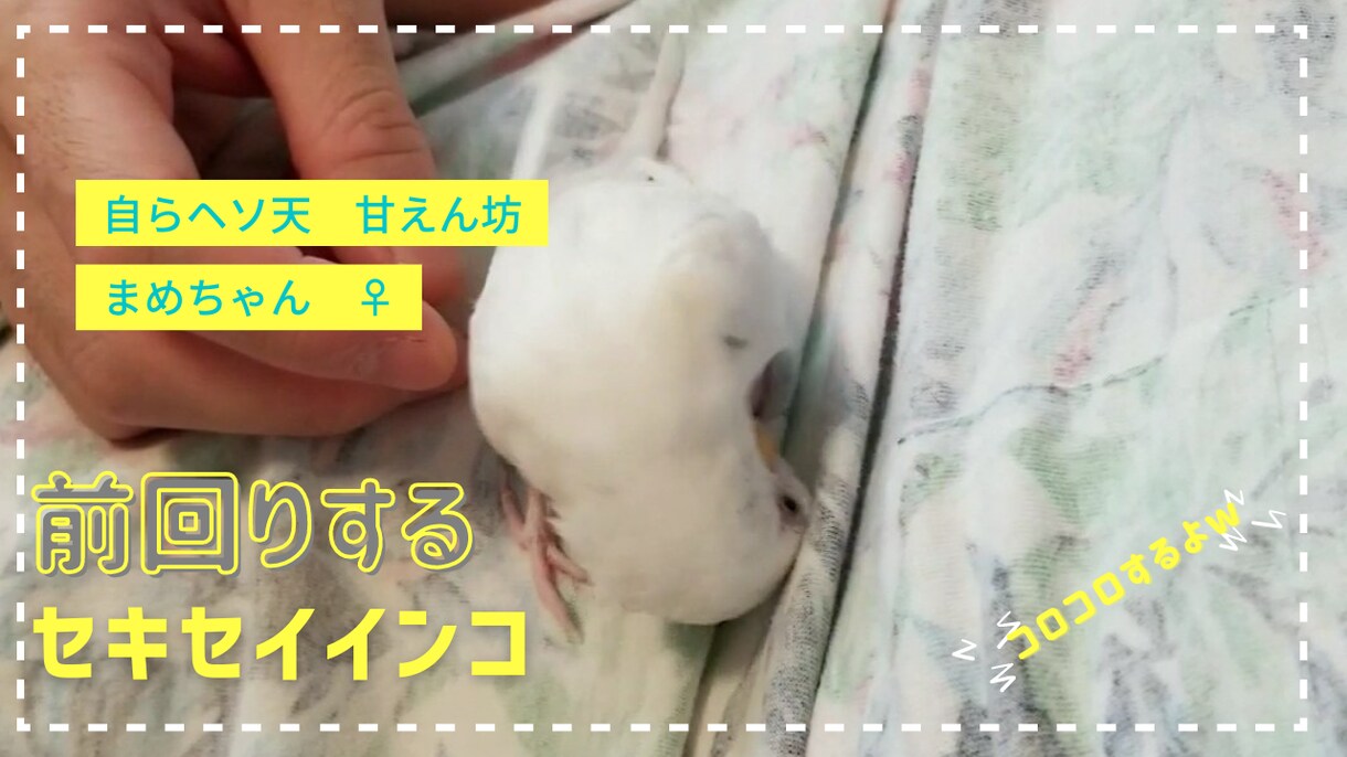サムネイル１枚と挿入画像４枚納品します ブログで使う一式を格安で制作します！ イメージ3