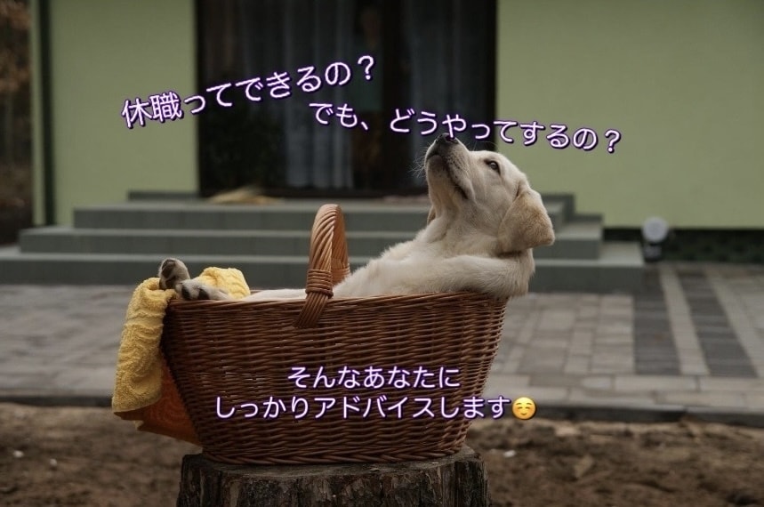休職は【逃げ】じゃない♡経験者がアドバイスします 休職や退職のお悩み＊ひとりで抱えずお気軽にご相談下さい イメージ1