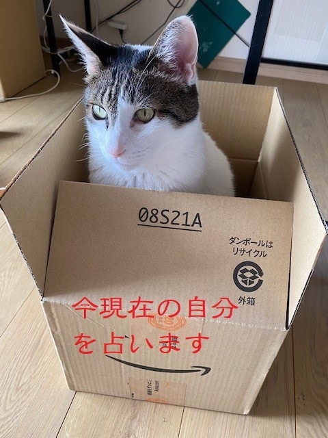 今現在の自分を占います 自分って今、どんな状態？　そんなあなたにピッタリな占いです イメージ1