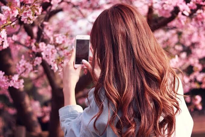 3日間、愚痴、暇つぶし、なんでも付き合います あなたの好きな話題⸜(๑⃙⃘'ᵕ'๑⃙⃘)⸝⋆* イメージ1