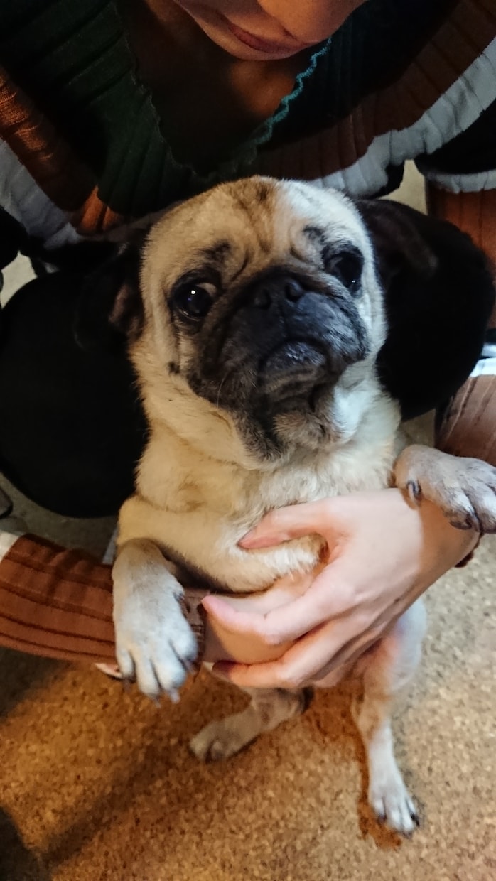 心のこもったネーミング、キャッチコピーお届けします 言葉は命。名前やコピーで魂が宿り、そして歩きはじめます。 イメージ1