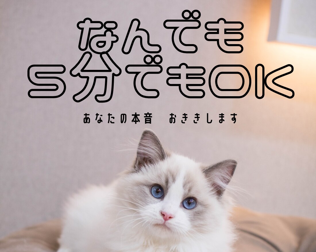 あなたの心の声をお聞きします なんでも・ちょこっと・５分でもOK イメージ1