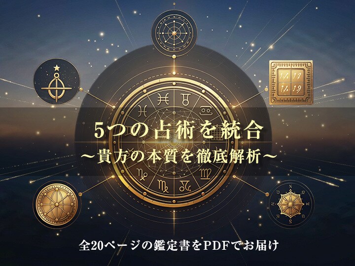 5つの占術を統合し、貴方の本質を徹底的に解析します 心理現象やアプローチ手法を一切排除し、純粋なデータだけを解析 イメージ1