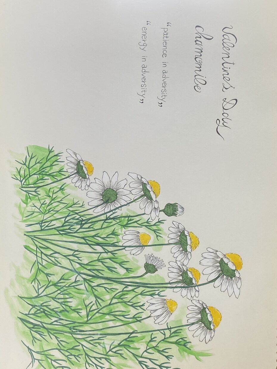 デフォルメ似顔絵、イラスト(主にお花)を描いてます 可愛くデフォルメした似顔絵。お花の絵は贈り物におすすめ！ イメージ4