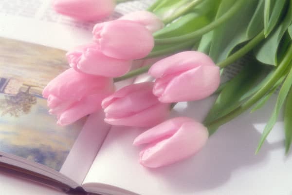 現役の保健室の先生があなたとお話します 30分間ワンコイン♡トークルームで気軽にお話しましょ♡ イメージ1