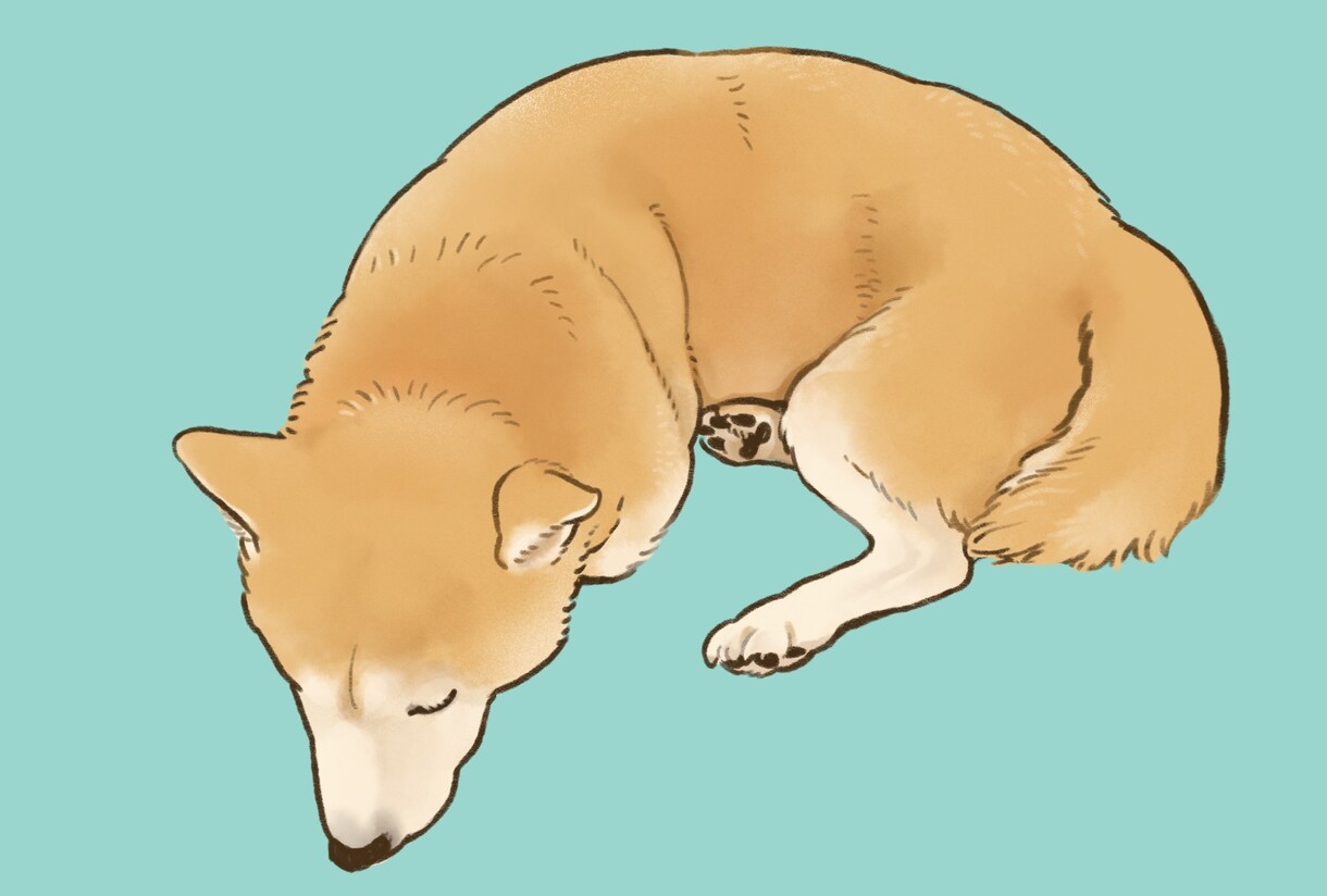 犬・猫ちゃんのイラスト描きます 鉛筆＋水彩のアナログタッチで（iPad使用） イメージ9