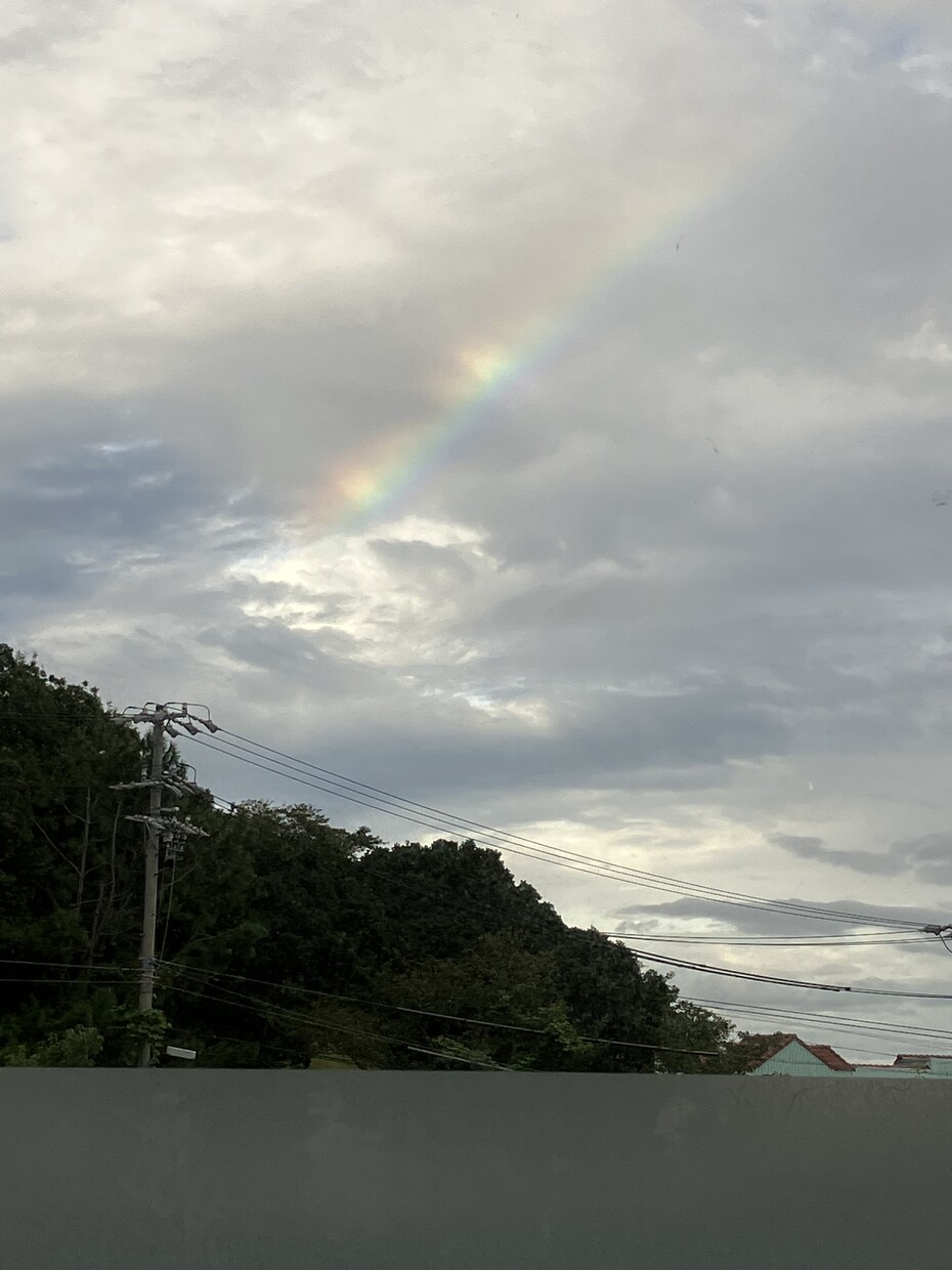 虹視力霊感タロット【相手の気持ち】霊感霊視占います ★彼の気持ち★相手の気持ち★二人の未来★片思い★霊感霊視★ イメージ6
