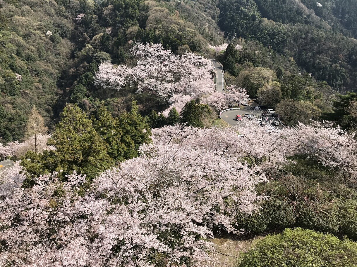 松山市内、また周辺地域の観光のお手伝いいたします お城に興味ある方、現地で俳句を楽しみたい方オススメ致します。 イメージ2