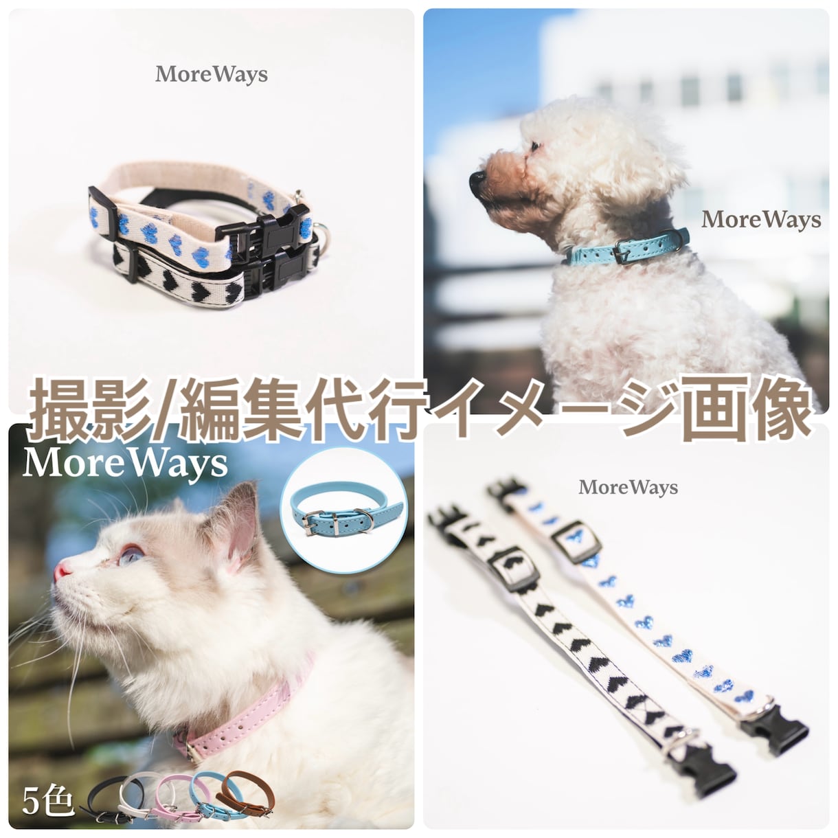カメラマンによる商品画像の撮影代行を行います 商品画像撮影代行 1商品(10枚まで)　8000円 イメージ2