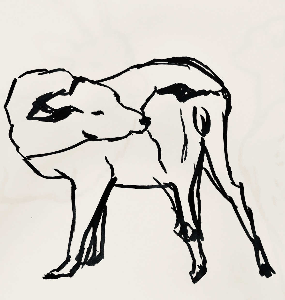 筆ペンなどで、簡易的なペットのイラストを描きます 一筆に魂を込め、動物の可愛さを引き出します！似せてみせます！ イメージ2