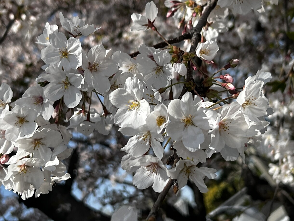 電話はちょっと…でも誰かに聞いてほしいに応えます 電話はハードルが高い、でも愚痴や誰かに聞いてほしい方に✩.* イメージ5
