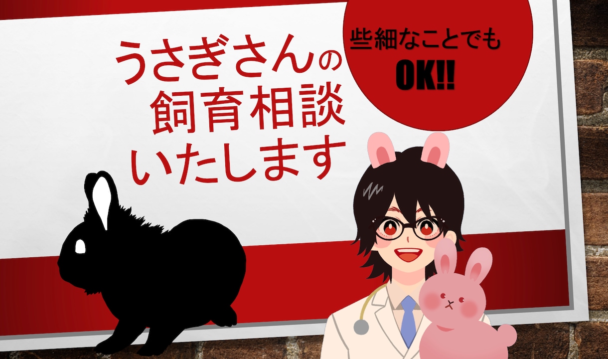 うさぎさんの飼い方そうだんします うさぎさんの診察歴１０年以上の獣医師がお伝えします イメージ2