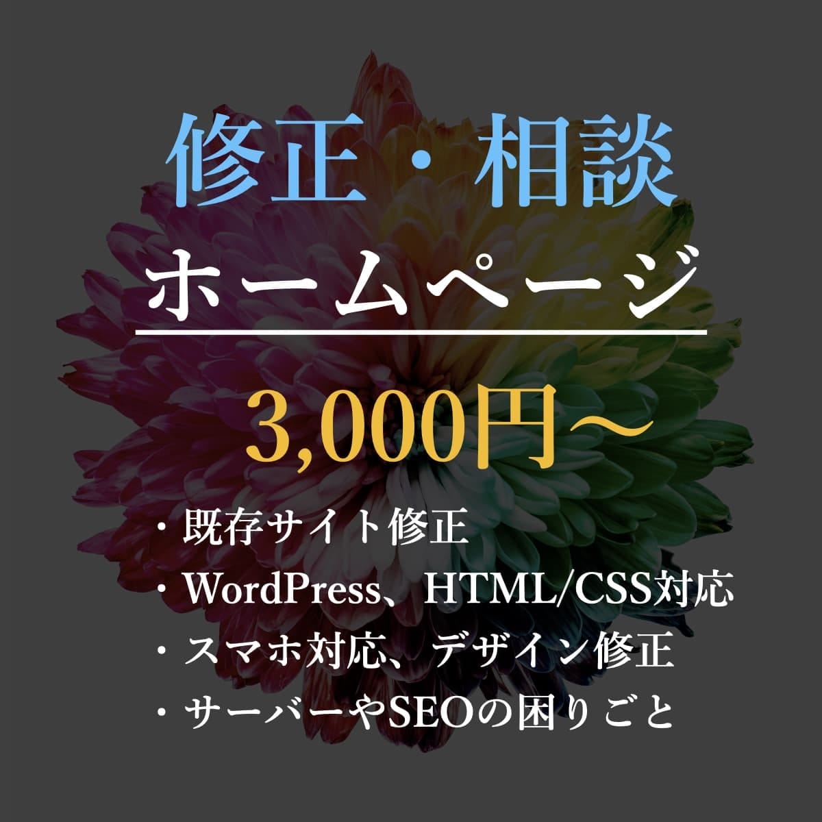 ホームページ（HP）の修正・カスタマイズをします WordPressやWEBサイトの修正・カスタマイズを実施！ イメージ1