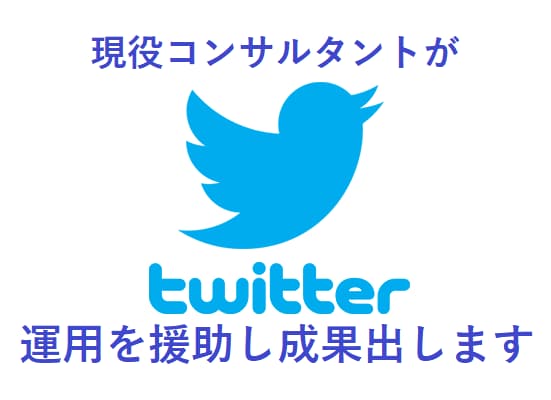 Twitter運用に関する全般的な施策を提案します 100件以上実績アリの現役ウェブマーケターが懇切丁寧に イメージ1