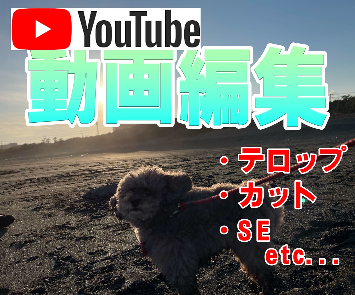 動画広告など編集いたします TikTok・ストーリーズなどの動画広告実績あり イメージ1