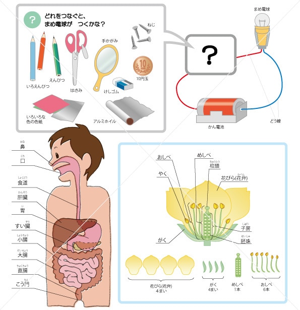 教材イラスト・カット制作いたします 教材にわかりやすいカットを添えて、勉強を楽しくしましょう イメージ5