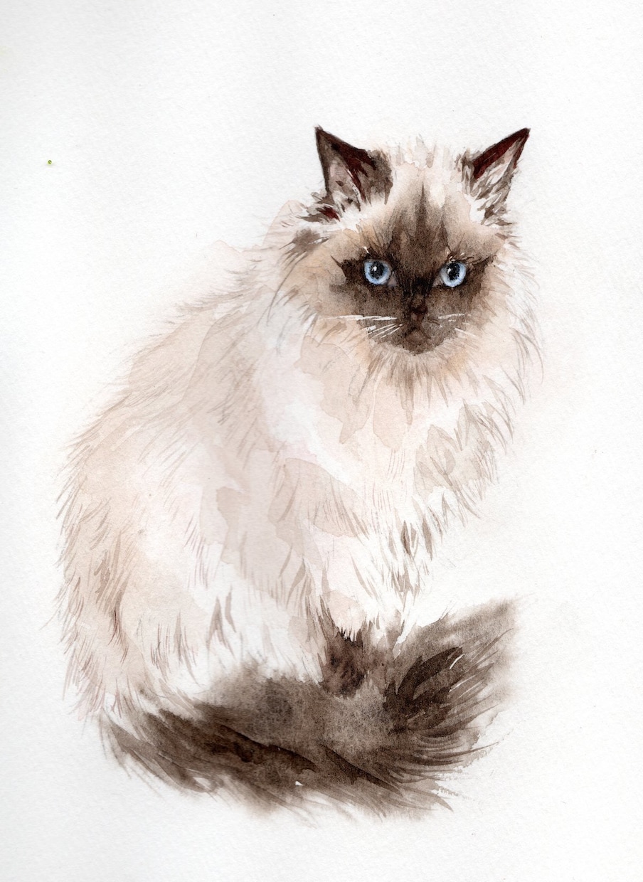 原画納品　猫の肖像画を水彩画で制作します あなたの猫ちゃんをお描きして原画をお届けします。 イメージ1