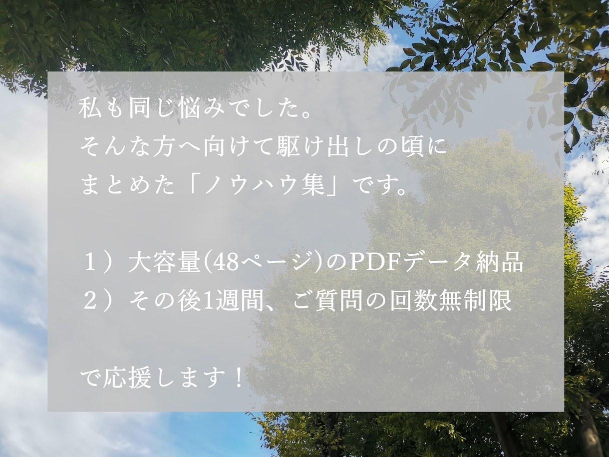 校正在宅ワークで最速プラチナ！売上げのコツ教えます PRO校正者のノウハウ PDF(48ページ)をご提供！ イメージ3