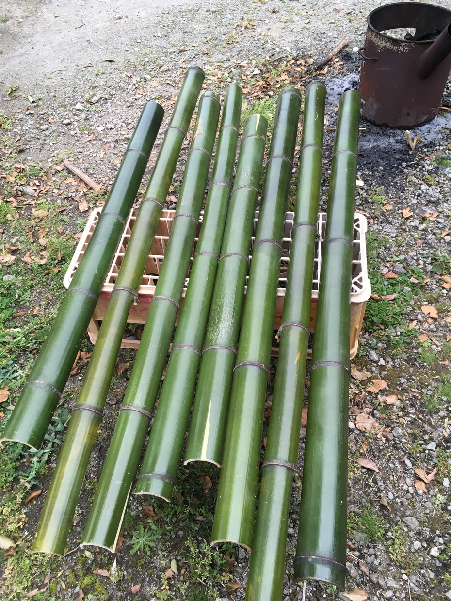 竹を油抜きします うちの山の竹を切って、油抜きしお譲り致します。 イメージ1