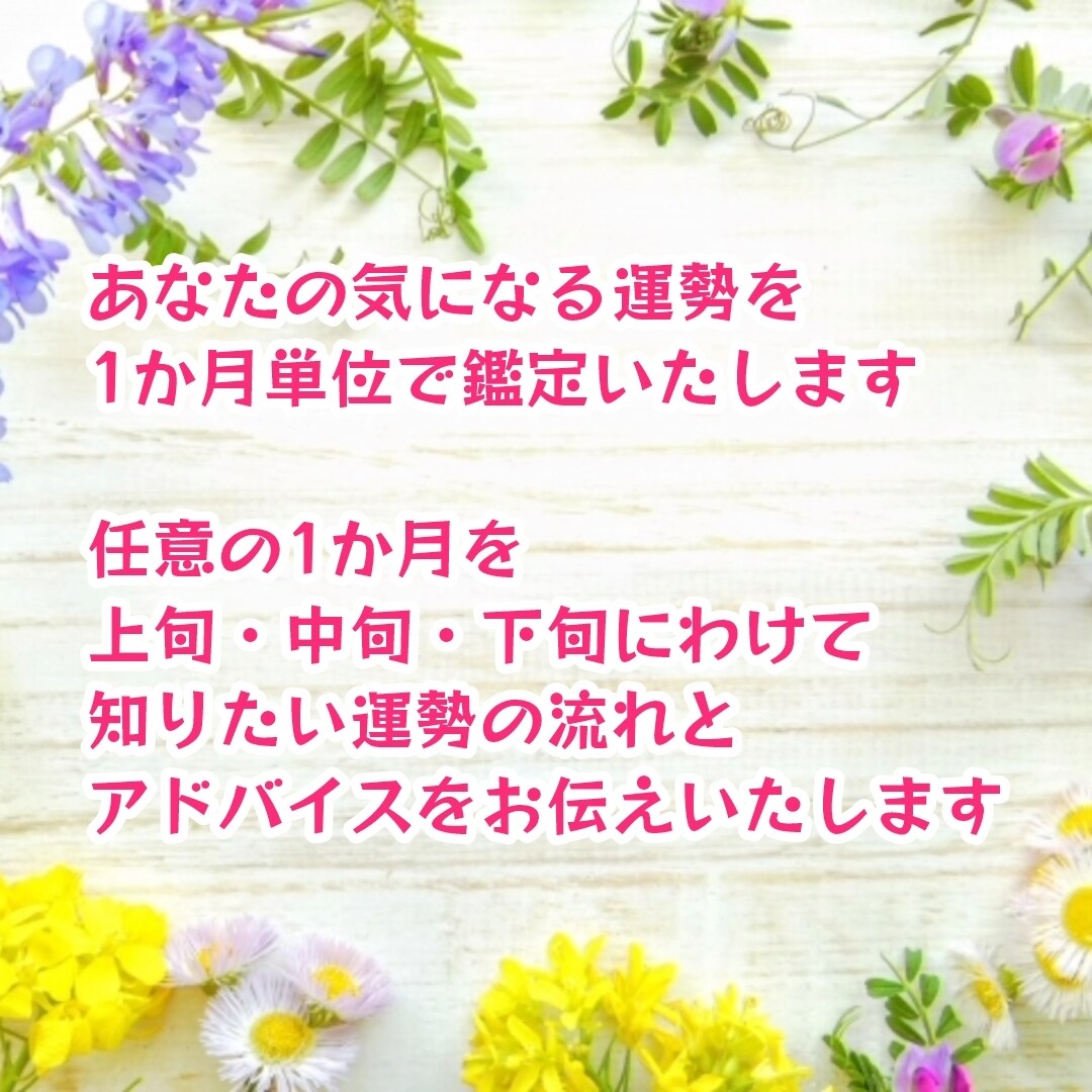 あなたが一番知りたい運勢✡1か月の流れを予報します 気になる運勢を2つ選択✡1か月の運勢をアドバイス付きでお届け イメージ2