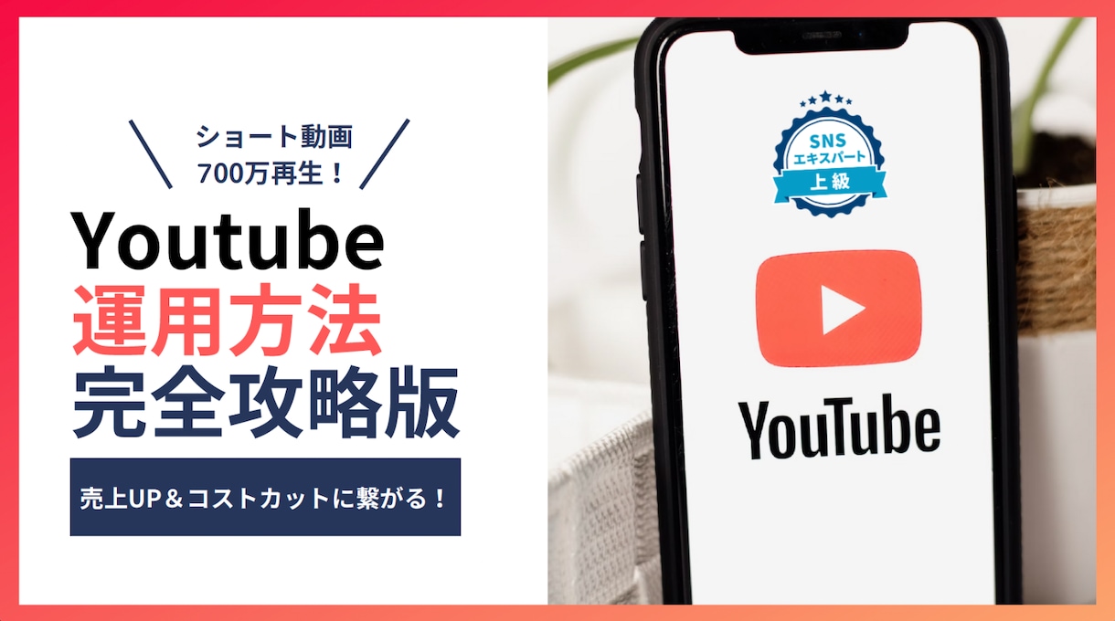 Youtube運用VSEO1位獲得攻略法教えます アカウント設計、VSEO対策、アナリティクス分析 イメージ1