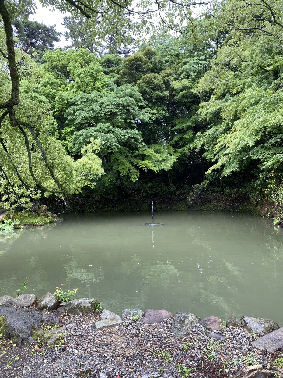 未来の運勢から【タロット】アドバイスをお伝えします 幸せになるしかない！恋愛、お仕事など具体的な相談も◎ イメージ1