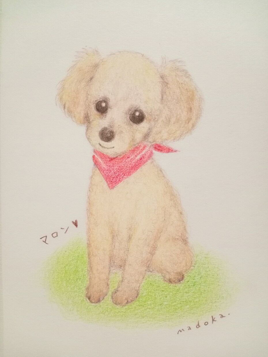 手描きでほんわか優しいペットイラスト描きます 温かみある優しい色鉛筆画。似顔絵、名入れ、思い出、プレゼント イメージ6