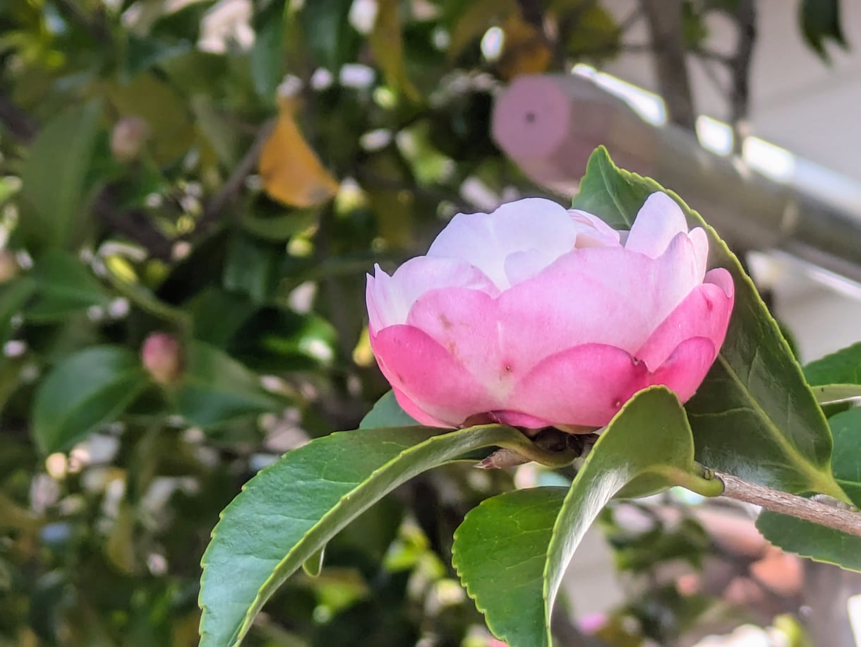 些細なことから愚痴まで何でも受け止めます 話して良かったと思って貰える時間を提供致します。 イメージ2